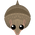 Armadillo-S2.png