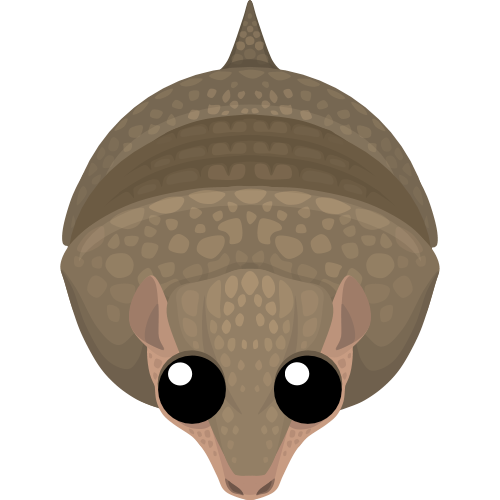 Armadillo, Mope.io Wiki, Fandom