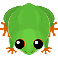 Frog-S2