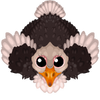 Ostrich-S2.png