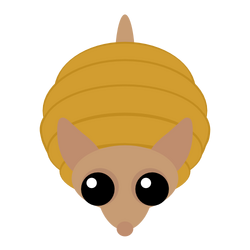 Armadillo Wiki | Fandom Armadillo Wiki | Fandom