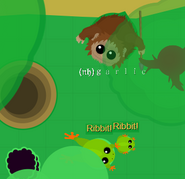 BigFrog