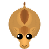 Camel-S2.png