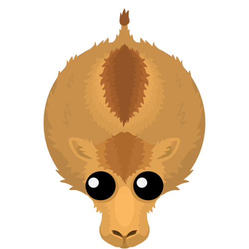 Armadillo, Mope.io Wiki, Fandom