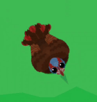 ForestSizeDown