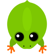 FrogLeap-S1