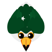 The Older Pakistan Toucan (in-Game from July 8, 2018-October 5, 2018).