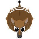 Okapi