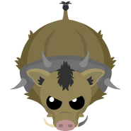 WarT. Hog