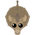 Donkey-S2.png