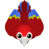 Macaw-S2.png