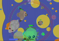 Falcon flying