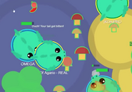 2 Dragons in a 1v1 arena (old)