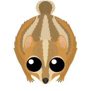 The ultra high-definition "Season 2" Desert Chipmunk (in-game from February 1, 2022-)