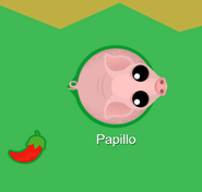 A large Stinky Pig by a red pepper.