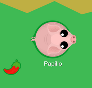 A large Stinky Pig by a red Chili Pepper.