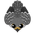 Falcon-S2.png
