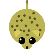 Gepard