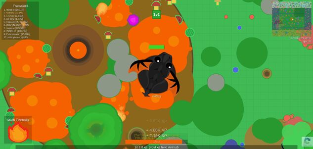 **black dragon**.jpg