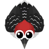 Woodpecker-S2.png