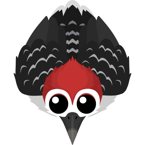 Armadillo, Mope.io Wiki, Fandom