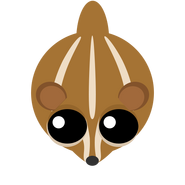 The Classic Desert Chipmunk (in-game from April 27, 2019 – December 23, 2019; in-Store from May 22, 2021 – present)