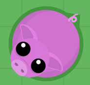 This Pig has a dark green outline (in the Land biome). Therefore it can neither hurt the player, nor can the player harm it.