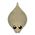 Komodo Dragon