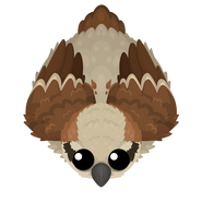 Sparrow[21]