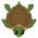 Turtle-S2.png