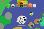 Evolution from White Tiger to White Lion