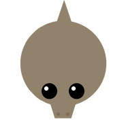 The Komodo Dragon