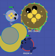 A Shark near a tiny Blue Whale and attacking a inflated Pufferfish