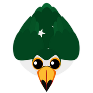 The Classic Pakistan Toucan (in-Game from October 6, 2018-June 25, 2020).