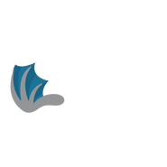 The unused left wing asset of the Knight Dragon