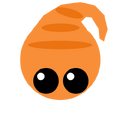 Shrimp-Classic