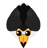 The Classic Toco Toucan (in-Game from June 19, 2018-June 25, 2020; in-Store from May 22, 2021-).