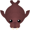 Walrus-S2.png