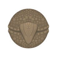 The initial stage of the ultra high-definition Armadillo's ability.