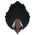 Cassowary-S2.png