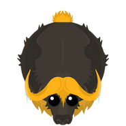 Gold trimmed Muskox