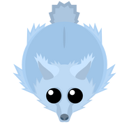 The Ice Fox.