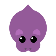 Hippo