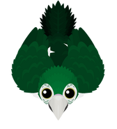 The "Season 2" Pakistan Macaw skin (in-Game from February 1, 2022-).