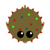 Pufferfish-Classic-Winter-Inflated