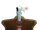 Mr. Landlord