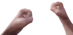 Fists.png