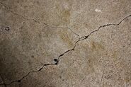 Cracks-in-cement-sidewalk