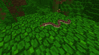 SnakeNew.png