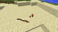 An unlucky mouse falling prey to a snake.